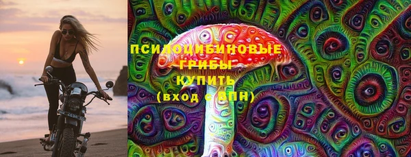 мдпв Белокуриха