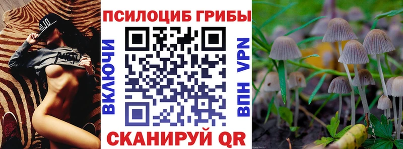 omg сайт  Гай  Псилоцибиновые грибы Psilocybe 